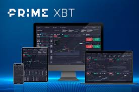 Discover the Excitement of PrimeXBT Contests Discover the Excitement of PrimeXBT Contests