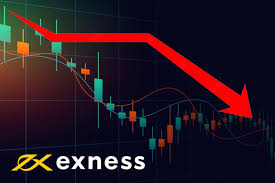 Everything You Need to Know About Exness Trading Account