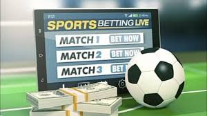 Discover the Future of Online Betting with falme bet Discover the Future of Online Betting with falme bet
